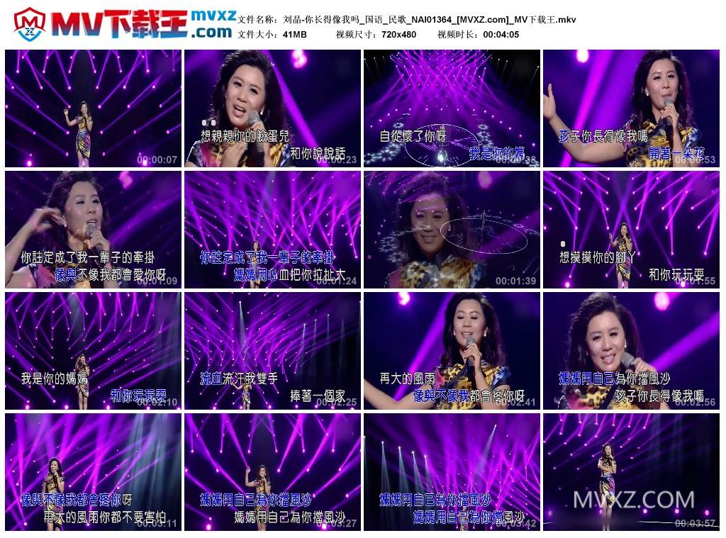 刘晶-你长得像我吗_国语_民歌_NAI01364